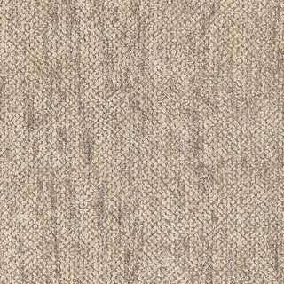 Surya Helen HLE-2301 Area Rug Swatch