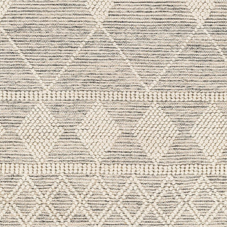 Livabliss Hemingway HMG-2301 Area Rug Swatch