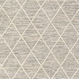 Livabliss Hemingway HMG-2302 Area Rug Swatch