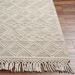 Livabliss Hemingway HMG-2303 Area Rug Angle