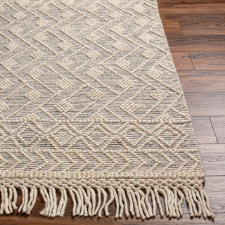 Livabliss Hemingway HMG-2305 Area Rug Angle