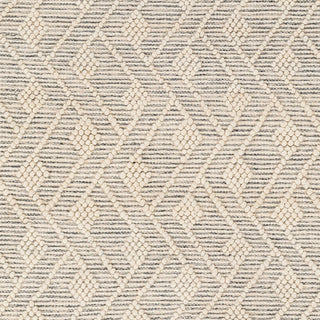 Livabliss Hemingway HMG-2305 Area Rug Swatch