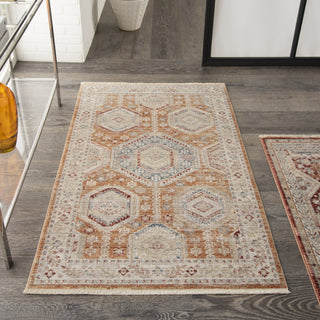 Nourison Homestead HMS01 Brick Area Rug Room Image Feature