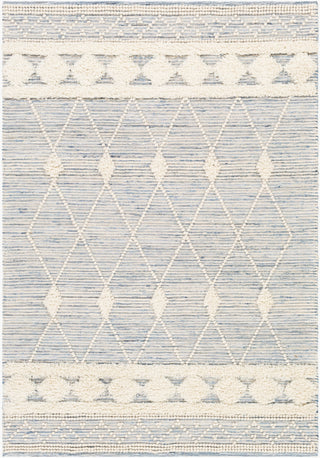 Surya Handira HNR-2302 Area Rug main image