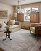 Loloi Hollis HOL-04 Smoke / Mist Area Rug Lifestyle Image Feature