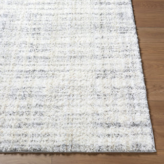 Livabliss Honour HON-2300 Area Rug Angle