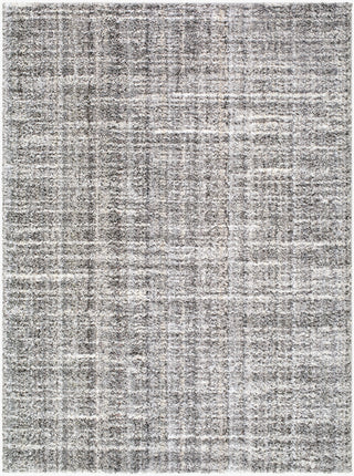 Livabliss Honour HON-2301 Charcoal Area Rug main image