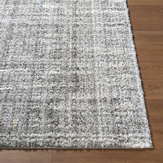Livabliss Honour HON-2301 Charcoal Area Rug Angle