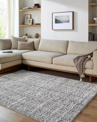 Livabliss Honour HON-2301 Charcoal Area Rug Room Scene