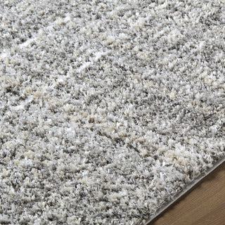 Livabliss Honour HON-2301 Charcoal Area Rug Detail