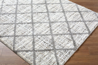 Livabliss Honour HON-2302 The Prominent Colors In Rug Are: Light Gray Area Corner Shot