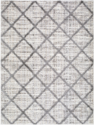 Livabliss Honour HON-2302 The Prominent Colors In Rug Are: Light Gray Area main image
