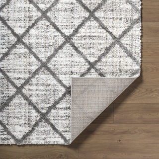 Livabliss Honour HON-2302 The Prominent Colors In Rug Are: Light Gray Area Pile