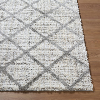 Livabliss Honour HON-2302 The Prominent Colors In Rug Are: Light Gray Area Angle