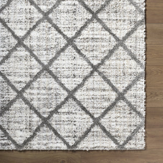 Livabliss Honour HON-2302 The Prominent Colors In Rug Are: Light Gray Area 
