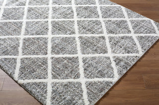 Livabliss Honour HON-2303 Charcoal Area Rug Corner Shot