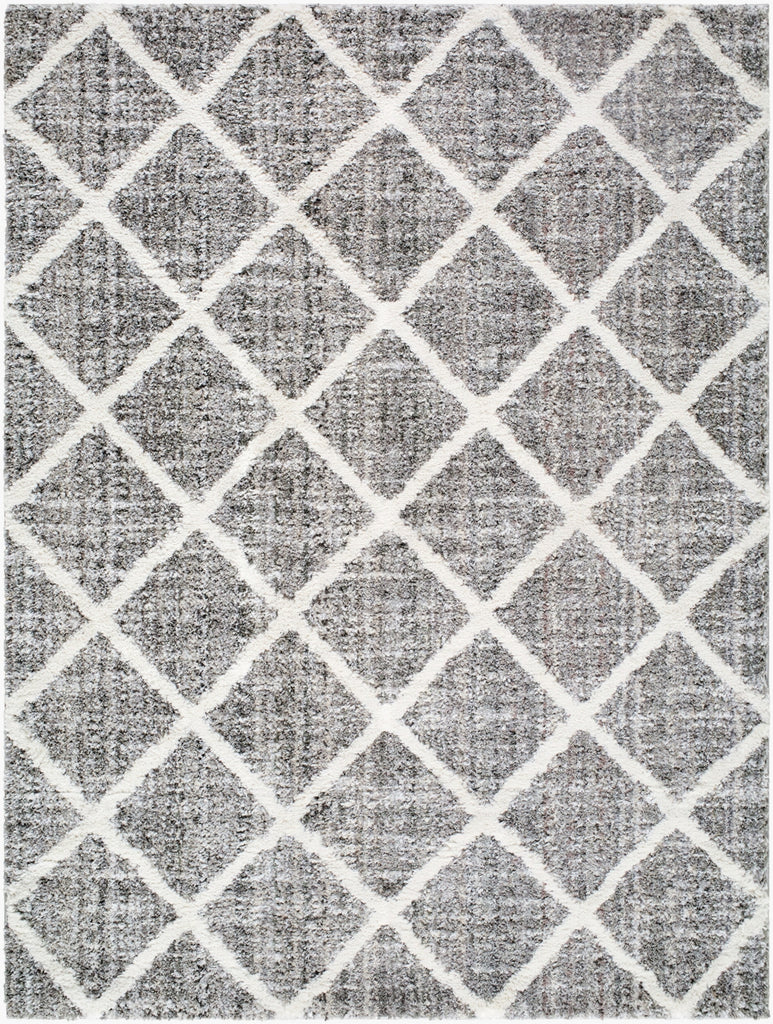 Livabliss Honour HON-2303 Charcoal Area Rug main image