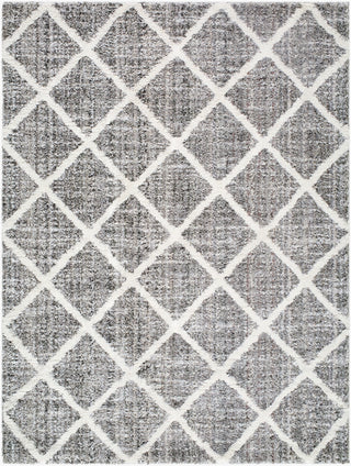 Livabliss Honour HON-2303 Charcoal Area Rug main image