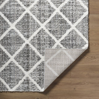 Livabliss Honour HON-2303 Charcoal Area Rug Pile