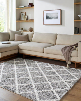 Livabliss Honour HON-2303 Charcoal Area Rug Room Scene