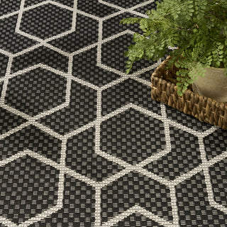 Nourison Horizon Indoor/Outdoor HOZ01 Black Area Rug Texture Image