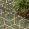 Nourison Horizon Indoor/Outdoor HOZ01 Green Area Rug Texture Image