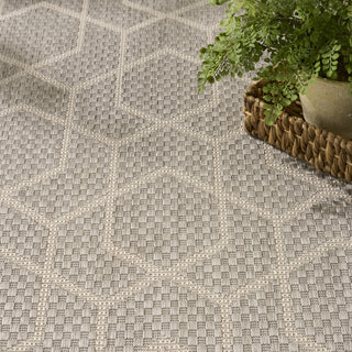 Nourison Horizon Indoor/Outdoor HOZ01 Grey Area Rug Texture Image