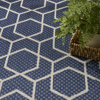 Nourison Horizon Indoor/Outdoor HOZ01 Navy Area Rug Texture Image