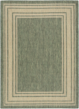 Nourison Horizon Indoor/Outdoor HOZ03 Green Area Rug Main Image