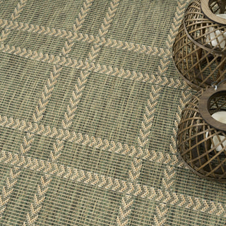 Nourison Horizon Indoor/Outdoor HOZ04 Green Area Rug Corner Image