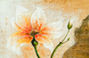 Surya Wall Decor HPO-5021 main image