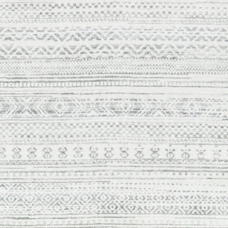 Livabliss Hera HRH-2303 Light Grey Area Rug Swatch