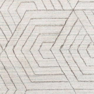 Surya Hightower HTW-3012 Area Rug Swatch