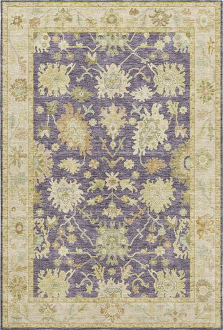 Dalyn Hatay HY2 Eggplant Machine Washable Area Rug