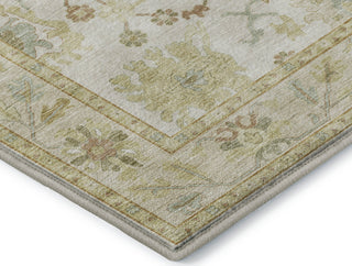 Dalyn Hatay HY2 Ivory Machine Washable Area Rug