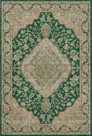 Dalyn Hatay HY3 Emerald Machine Washable Area Rug