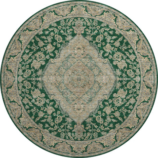 Dalyn Hatay HY3 Emerald Machine Washable Area Rug