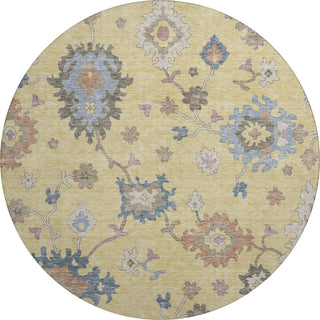 Dalyn Hatay HY4 Gold Machine Washable Area Rug