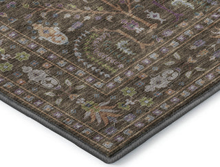 Dalyn Hatay HY5 Brown Machine Washable Area Rug