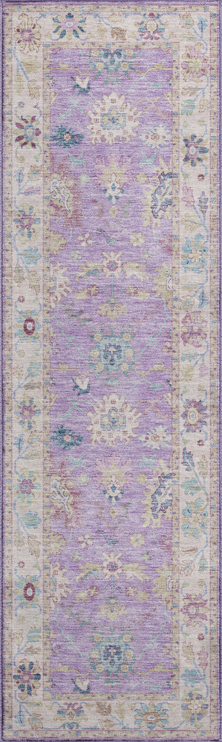 Dalyn Hatay HY7 Purple Machine Washable Area Rug