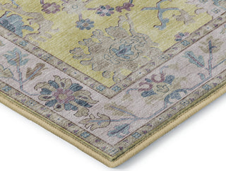 Dalyn Hatay HY7 Yellow Machine Washable Area Rug