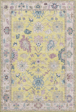 Dalyn Hatay HY7 Yellow Machine Washable Area Rug