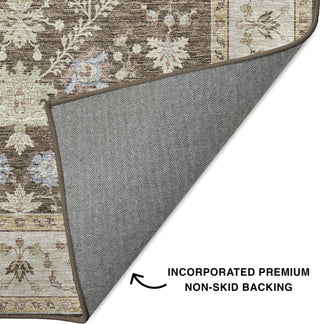 Dalyn Hatay HY9 Brown Machine Washable Area Rug