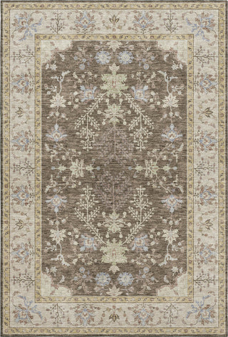 Dalyn Hatay HY9 Brown Machine Washable Area Rug