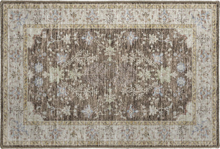 Dalyn Hatay HY9 Brown Machine Washable Area Rug