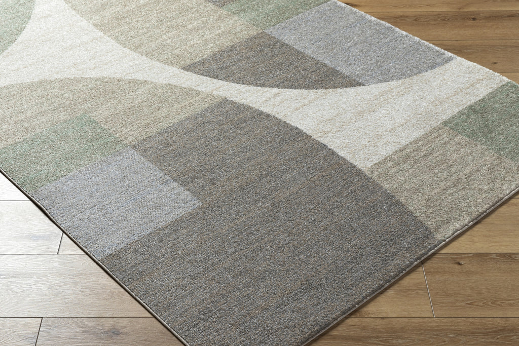 Livabliss Hyde Park HYP-2301 Light Brown Area Rug