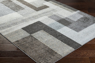 Livabliss Hyde Park HYP-2303 Area Rug