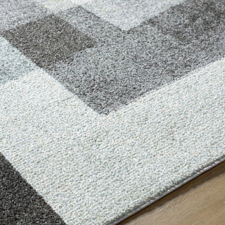 Livabliss Hyde Park HYP-2303 Area Rug