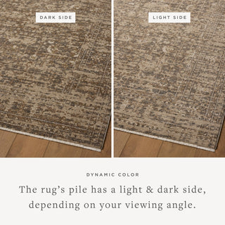 Loloi Haywood HYD-01 Granite/Natural Area Rug Lifestyle Image Feature