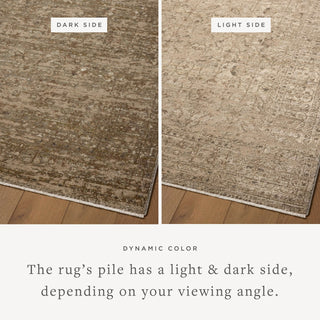 Loloi Haywood HYD-01 Sage/Sand Area Rug Lifestyle Image Feature